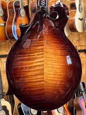 Gibson F-5G "New 2023 Specs" #50429012_8