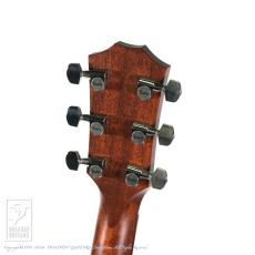 Taylor 712ce_8