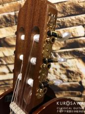 Orpheus Valley Guitars オルフェウス・ヴァレー・ギターズ Sofia S-48C 杉・サペリ 480mm ショートスケール【日本総本店2F在庫品】_6