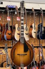 Eastman MDO-605 Octave Mandolin【USED】_2