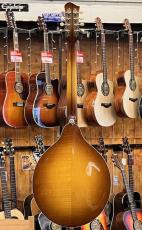 Eastman MDO-605 Octave Mandolin【USED】_6