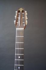 Stringphonic Basic Model_5