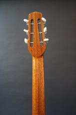 Stringphonic Basic Model_6