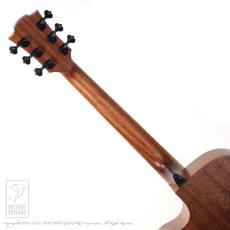 LAG GUITARS THV10ACE HyVive【セール開催中!36回無金利対象品】_12