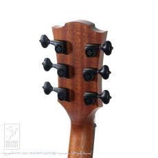 LAG GUITARS THV10ACE HyVive【セール開催中!36回無金利対象品】_14