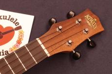 KIWAYA KPC-1K HG Solid High Grade Hawaiian Curly Koa Concert Ukulele #5656_5