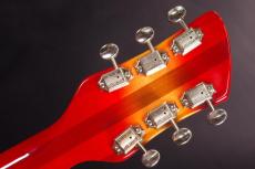 Rickenbacker 350V63_5