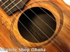 G String コンサート ホヌタトゥー ハワイアンコア 2000年代/中古委託_10