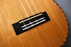 Kamaka HB-2DC Concert Deluxe【USED/2013年】_10