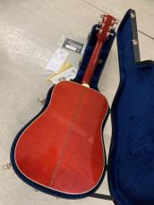 Gibson DOVE NAT 2012年製 L.R Baggs Elementピックアップ付き!_8