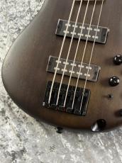 Ibanez SR305EB - WNF : Walnut Flat -【3.65㎏】_3