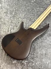 Ibanez SR305EB - WNF : Walnut Flat -【3.65㎏】_10