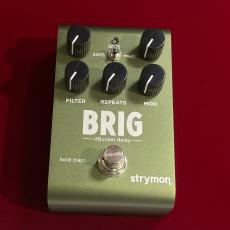 strymon BRIG 【dBucket テクノロジーディレイ】【今なら純正MiniSwitchプレゼント!】