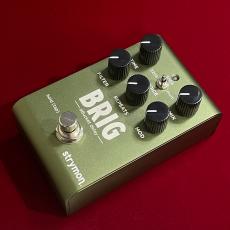 strymon BRIG 【dBucket テクノロジーディレイ】【今なら純正MiniSwitchプレゼント!】_4