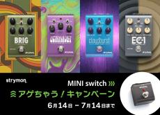 strymon UltraViolet 【アナログトーンを極めた次世代ユニヴァイブ】【今なら純正MiniSwitchプレゼント!】_6