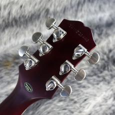 Epiphone Les Paul Prophecy Aged Bengal Tiger Burst_9