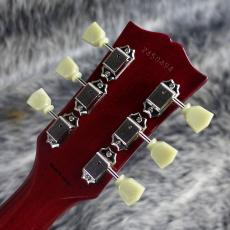 Tokai LS224QZ-CM TK_8