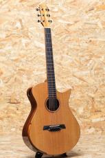 Maestro Guitars VERA KO CSB I_3