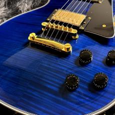 GrassRoots G-LP-CTM/FM STB (See Thru Blue)_3