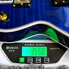 GrassRoots G-LP-CTM/FM STB (See Thru Blue)_11