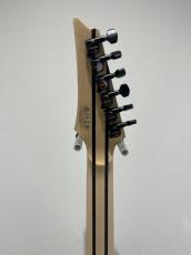 Ibanez RG8620AH_8