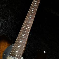 FREEDOM CUSTOM GUITAR RESEARCH TE Pepper Hollow 2 (Brown Pepper) Flamed Mahogany Top / Black Burst (BBS)_3