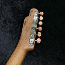 FREEDOM CUSTOM GUITAR RESEARCH TE Pepper Hollow 2 (Brown Pepper) Flamed Mahogany Top / Black Burst (BBS)_5