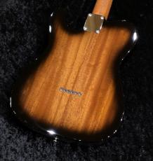 FREEDOM CUSTOM GUITAR RESEARCH TE Pepper Hollow 2 (Brown Pepper) Flamed Mahogany Top / Black Burst (BBS)_7