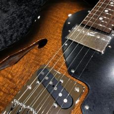 FREEDOM CUSTOM GUITAR RESEARCH TE Pepper Hollow 2 (Brown Pepper) Flamed Mahogany Top / Black Burst (BBS)_9