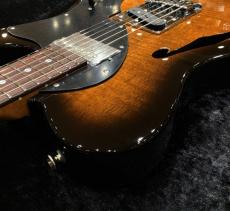 FREEDOM CUSTOM GUITAR RESEARCH TE Pepper Hollow 2 (Brown Pepper) Flamed Mahogany Top / Black Burst (BBS)_10