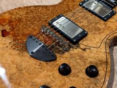 Bizen Works Grain Karin Burl " Sound Messe in Osaka 2025 Show Model " / Natural_2