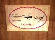 Taylor GS Mini-e Special Edition Fuchsia Pink Paisley_9
