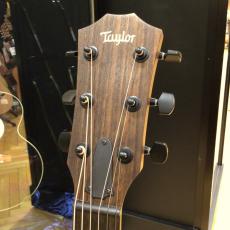 Taylor AD12e-SB_3