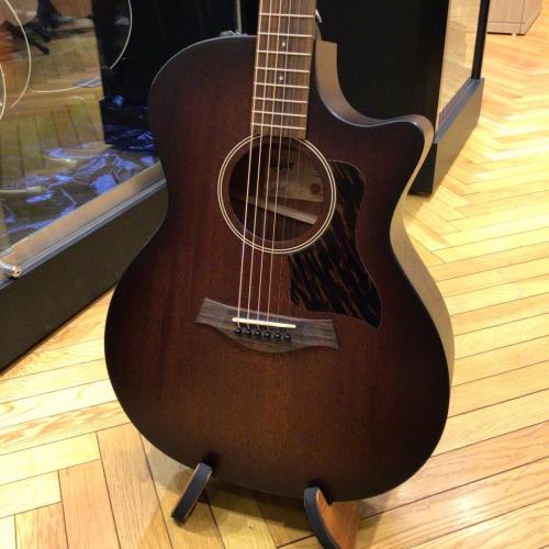 Taylor AD24ce