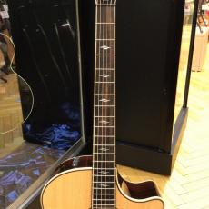 Taylor 814ce J-Spec_4