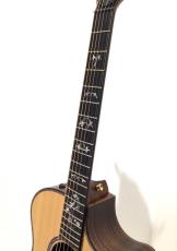 Taylor 914ce Special Edition_4