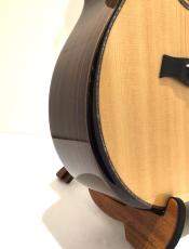 Taylor 914ce Special Edition_9