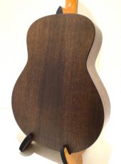 Taylor GT Urban Ash_5