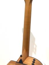Taylor 112ce_8