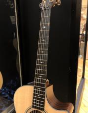 Taylor 312ce_4