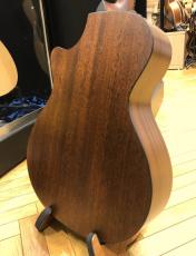 Taylor 312ce_5