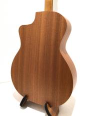 Taylor 14ce_5