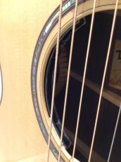 Taylor 814ce Next Generation_8