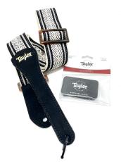 Taylor Japan LTD 112ce Black Top_9