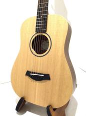 Taylor BT1e