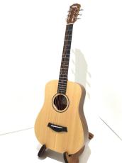 Taylor BT1e_2