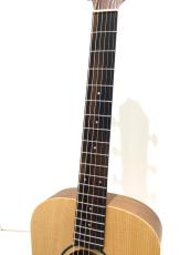 Taylor BT1e_4
