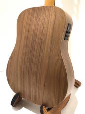 Taylor BT1e_5