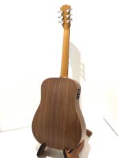 Taylor BT1e_6