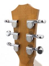 Taylor BT1e_7